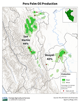 images\PE\cropprod\Peru_Palm Oil_preview.png